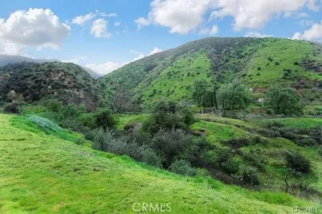 a view of a green field with lots of bushes