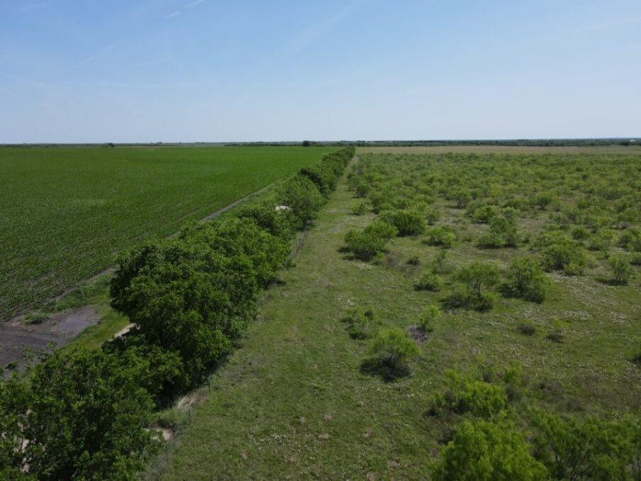 Tbd Southwest 4120 Dawson, TX 76639 - Photo 6 of 15