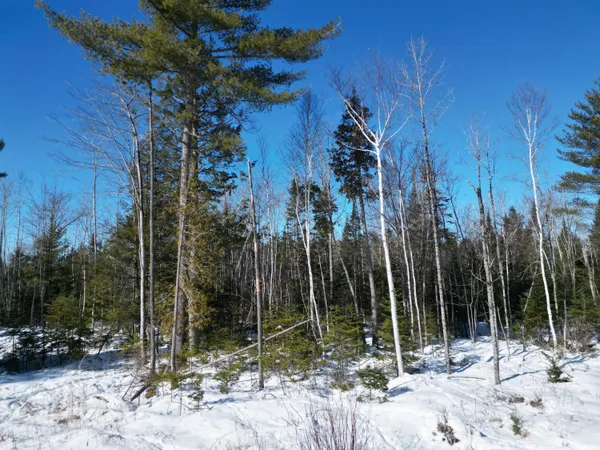 $135,000 | 4 Morgan Road, Burnham, ME 04922