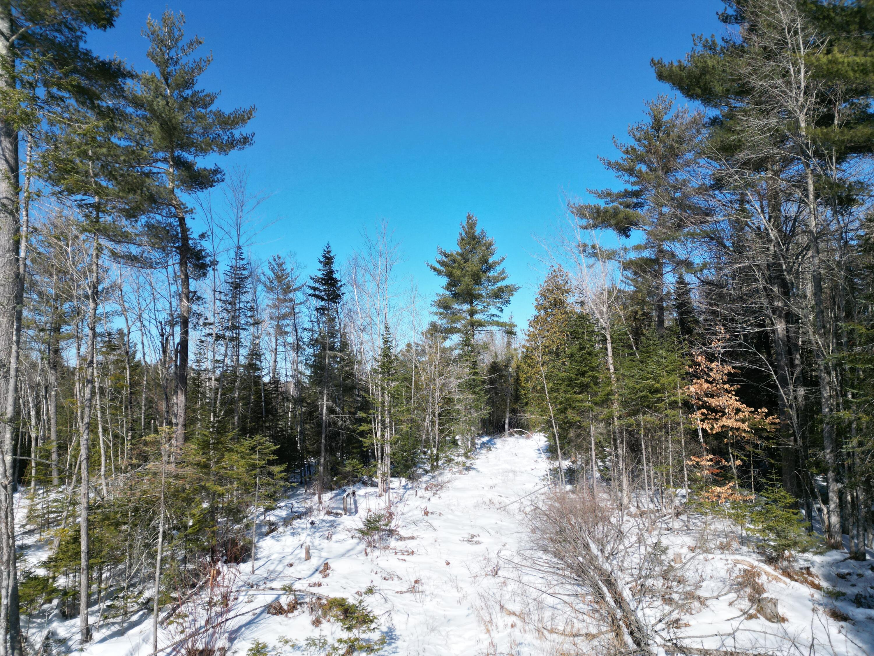 4 Morgan Road Burnham, ME 04922 - Photo 19 of 19 DJI_0082