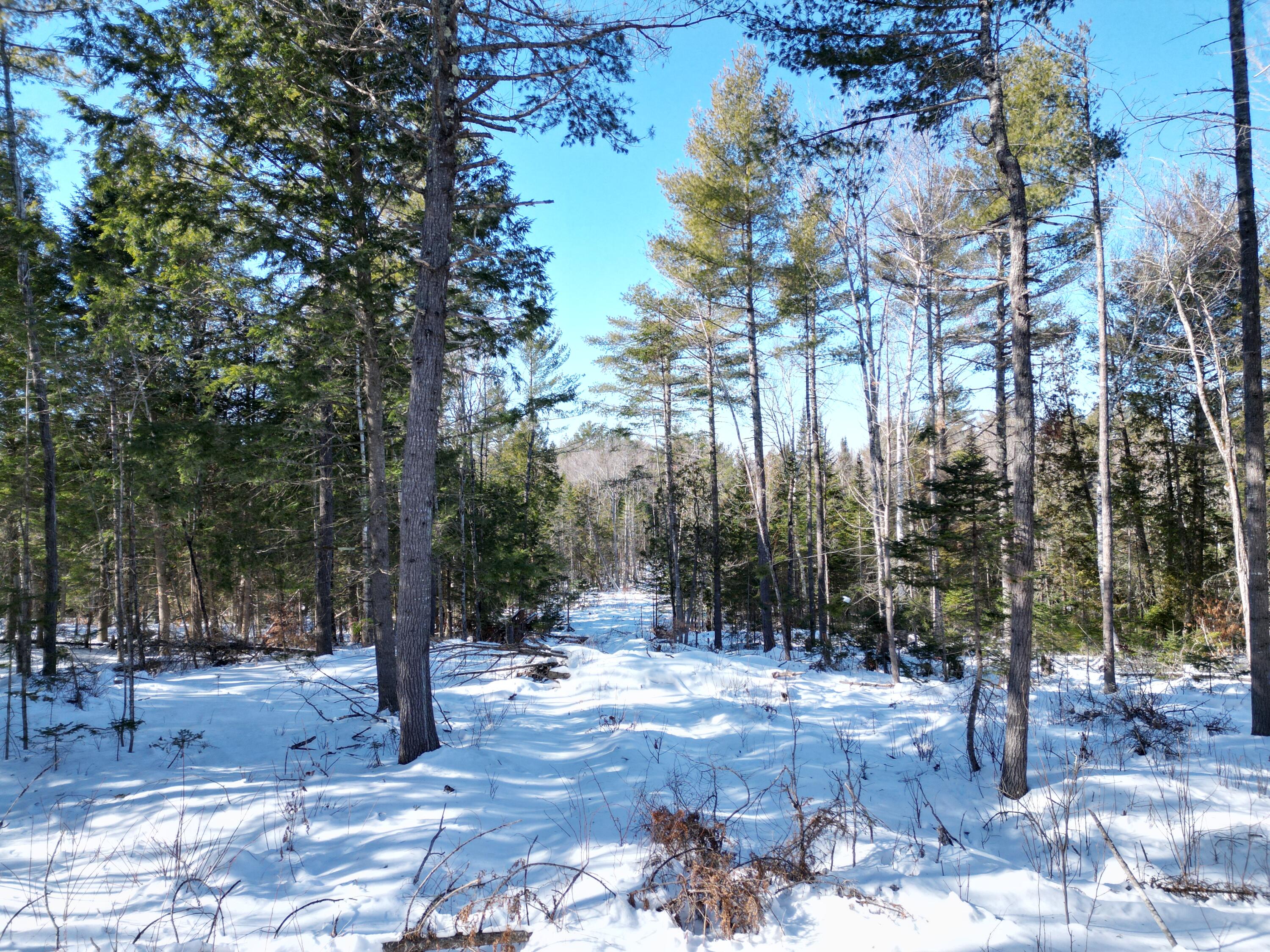 4 Morgan Road Burnham, ME 04922 - Photo 5 of 19 DJI_0071