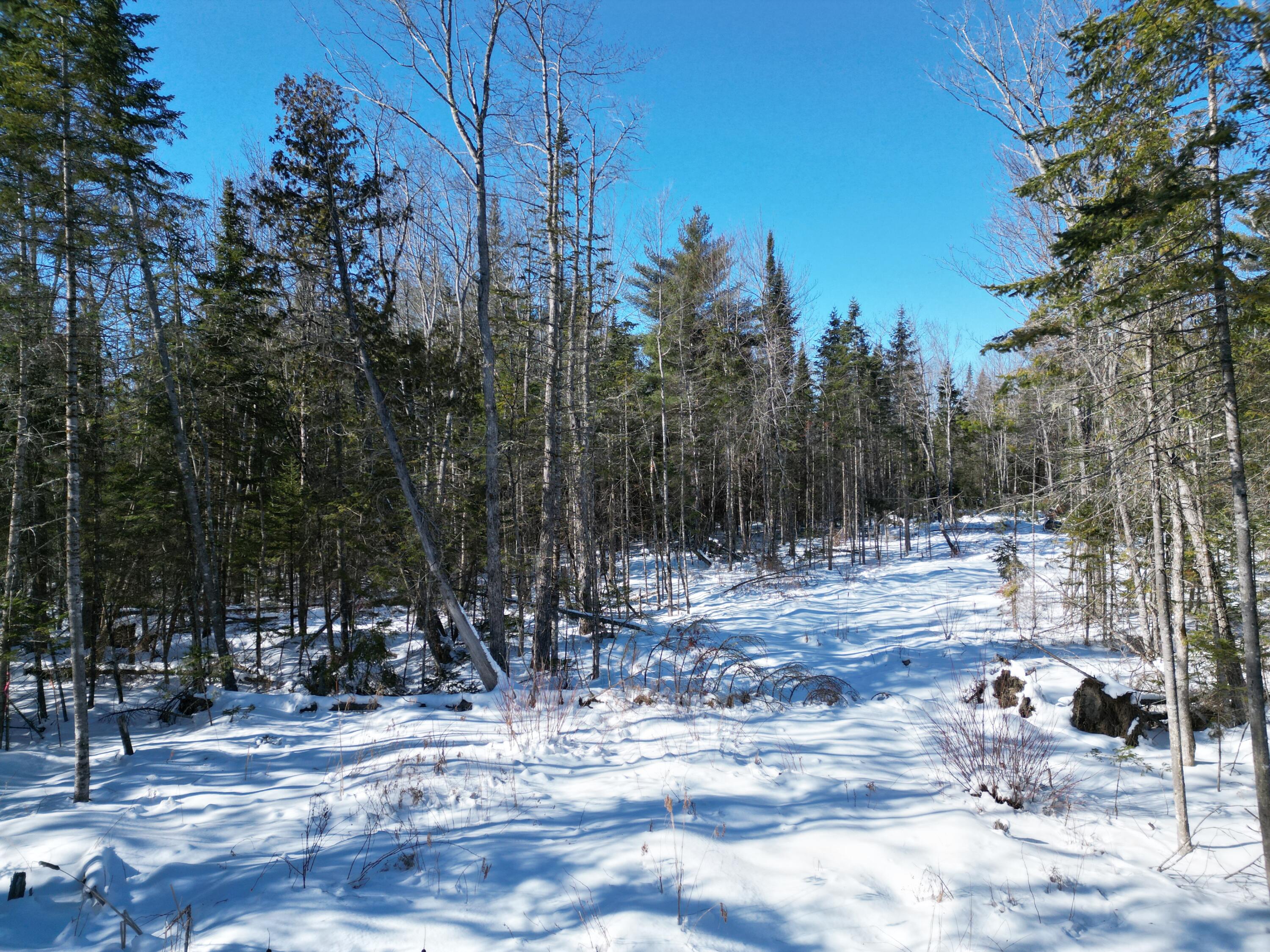 4 Morgan Road Burnham, ME 04922 - Photo 7 of 19 DJI_0075