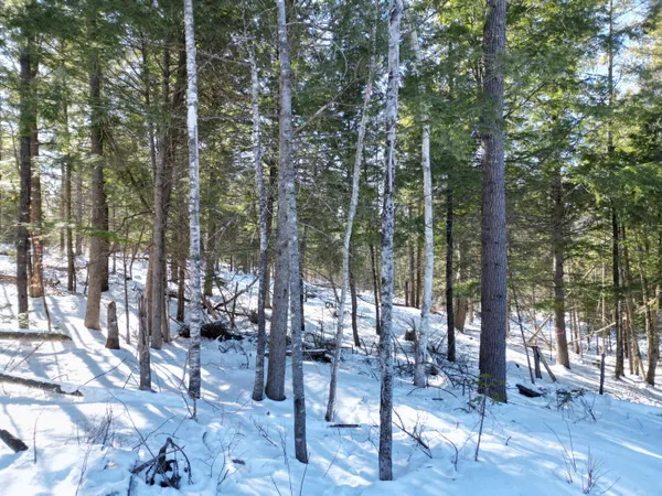 $135,000 | 4 Morgan Road, Burnham, ME 04922