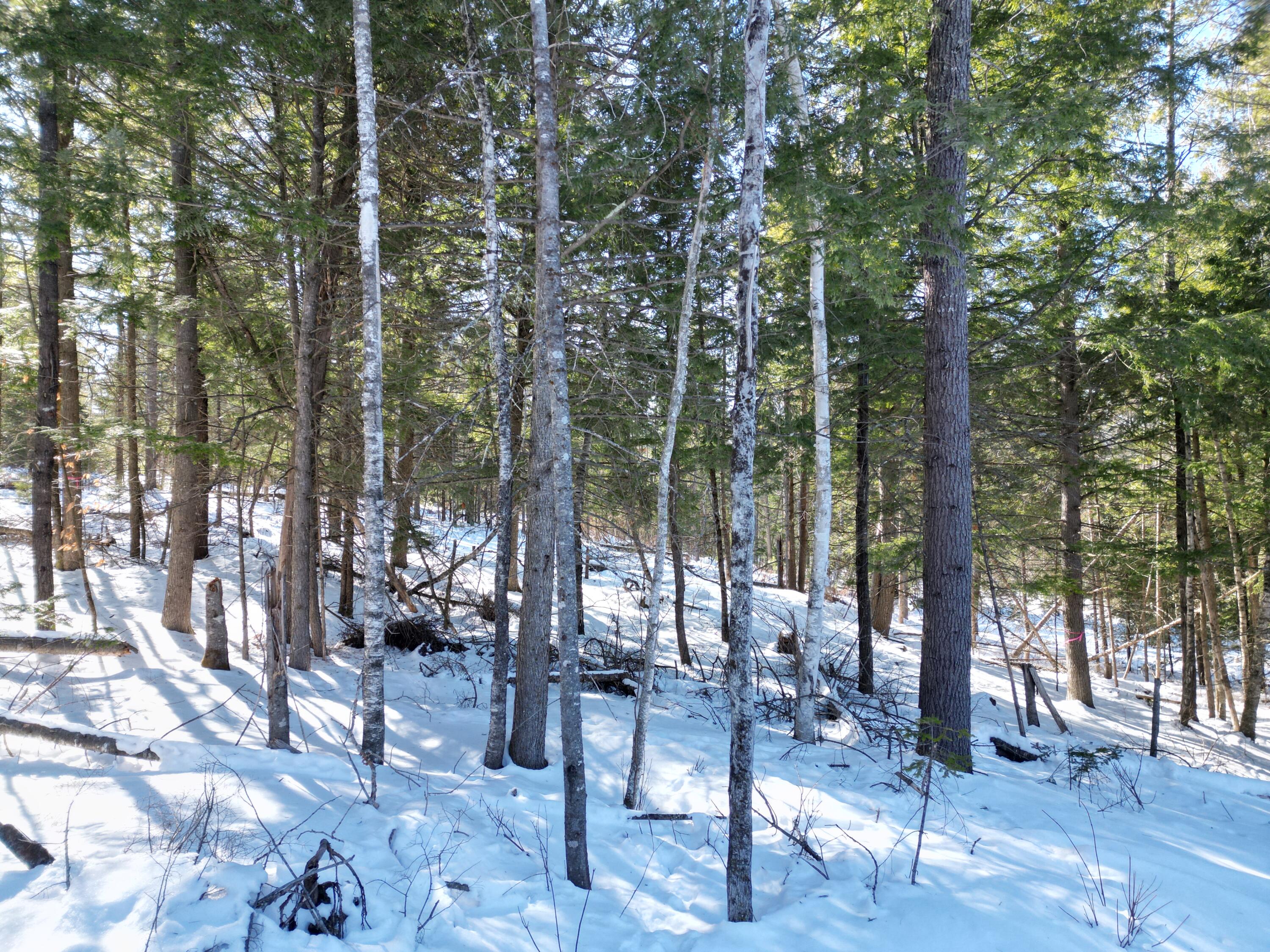 4 Morgan Road Burnham, ME 04922 - Photo 8 of 19 DJI_0074