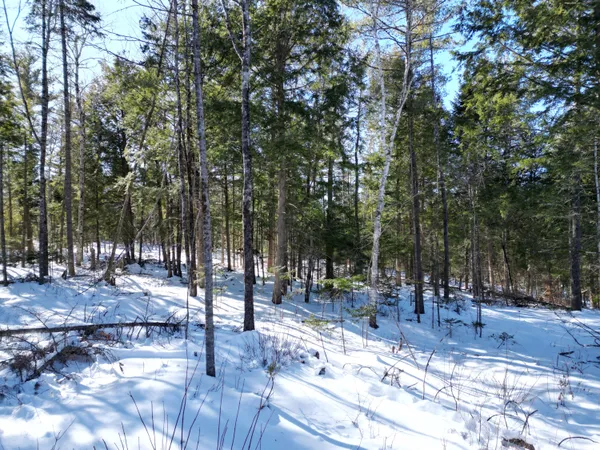 $135,000 | 4 Morgan Road, Burnham, ME 04922