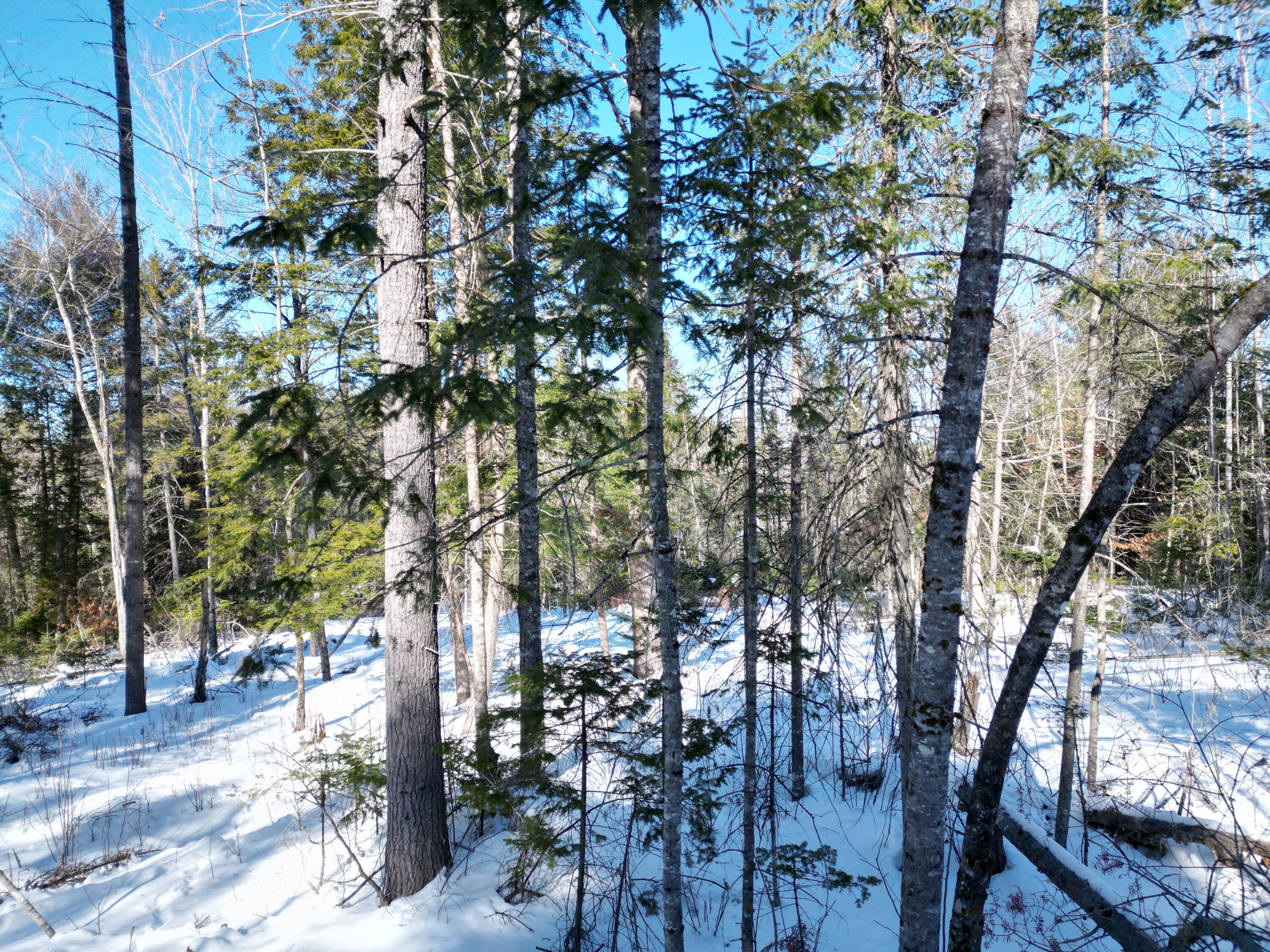 4 Morgan Road Burnham, ME 04922 - Photo 10 of 19 DJI_0072