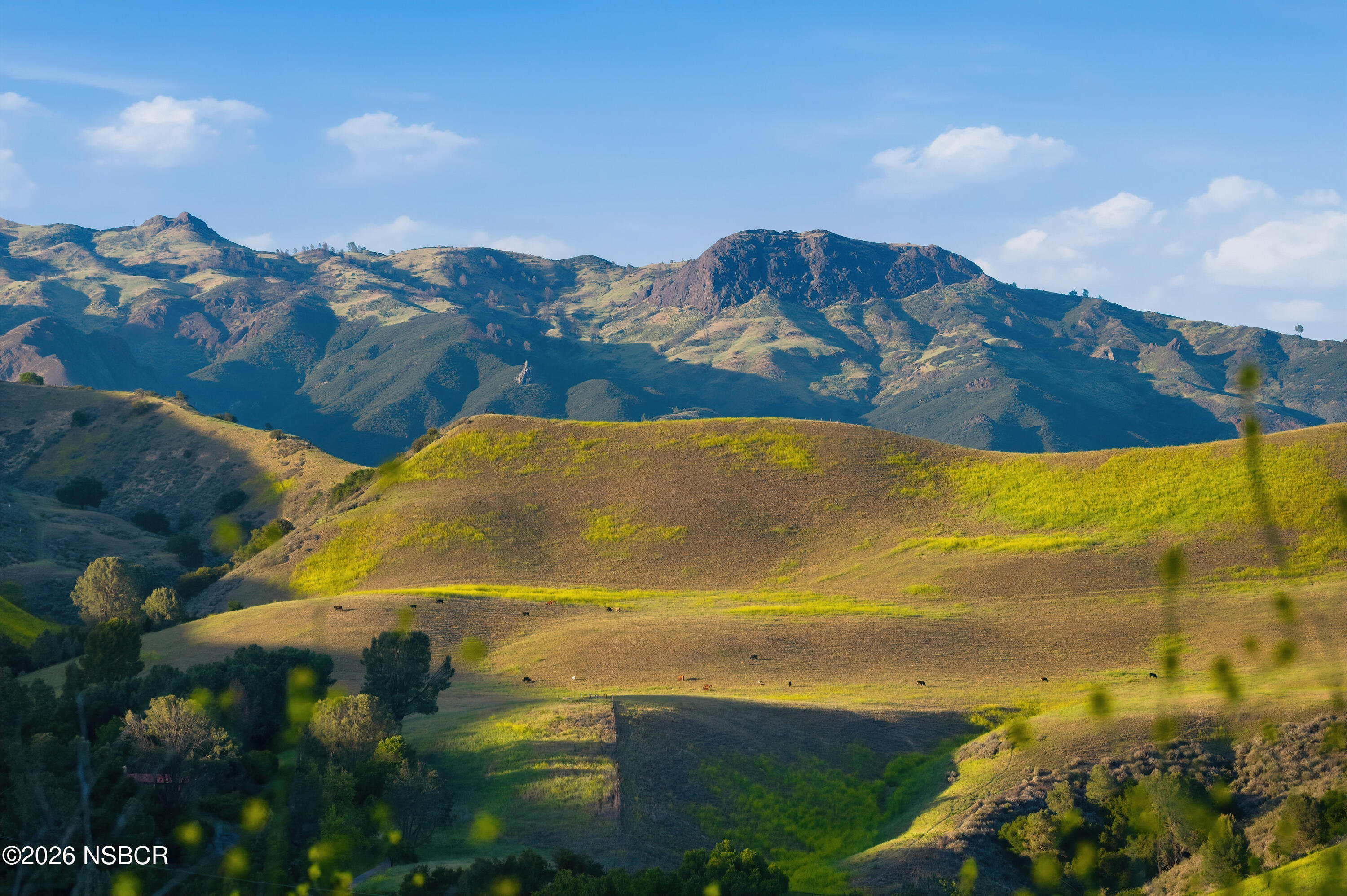 2160 Rambling Oaks Road Santa Ynez, CA 93460 - Photo 65 of 72 2160-rambling-oaks-ranch-santa-ynez-ca-6
