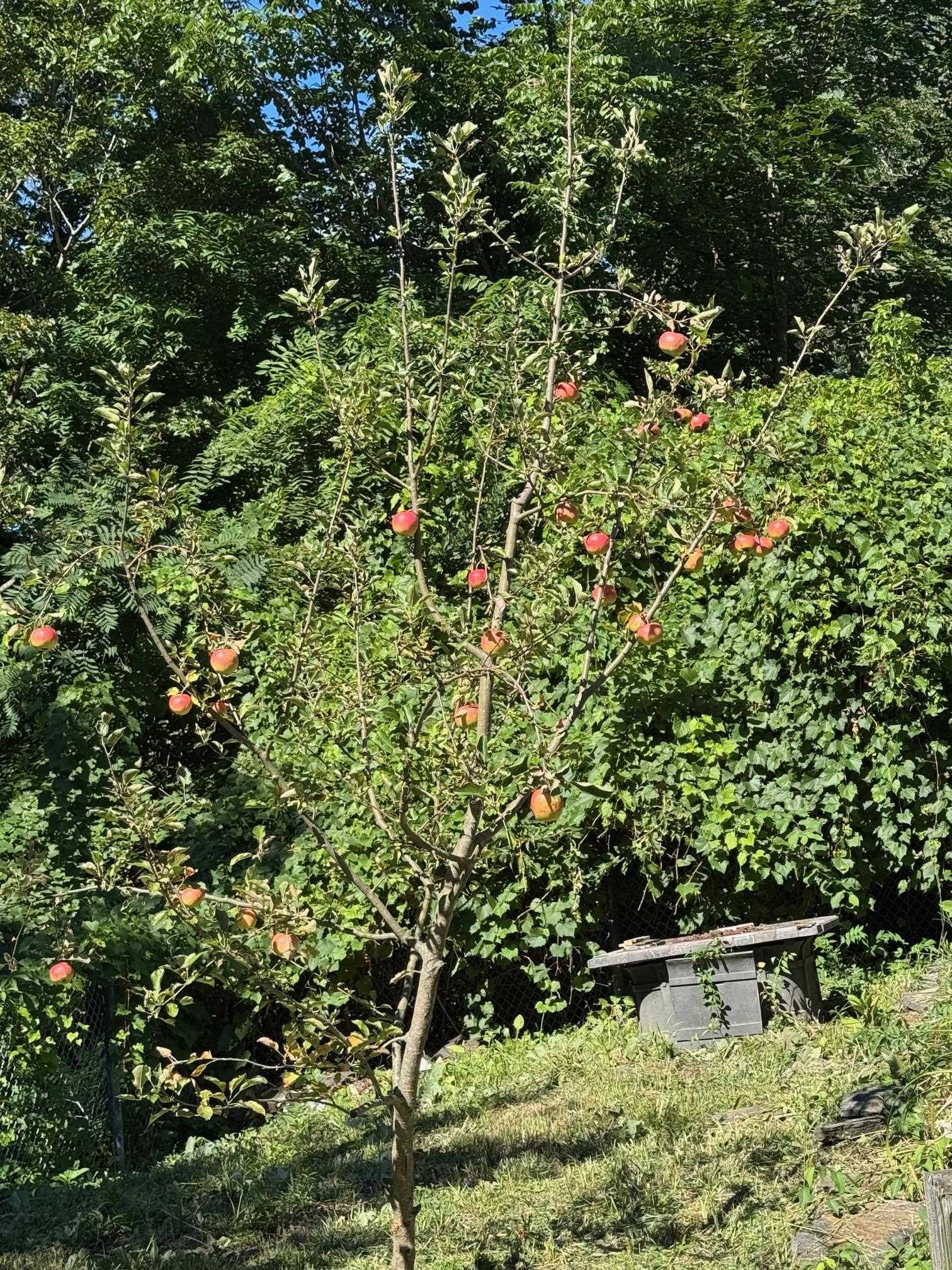 999 Main Street Walpole, NH 03609 - Photo 34 of 39