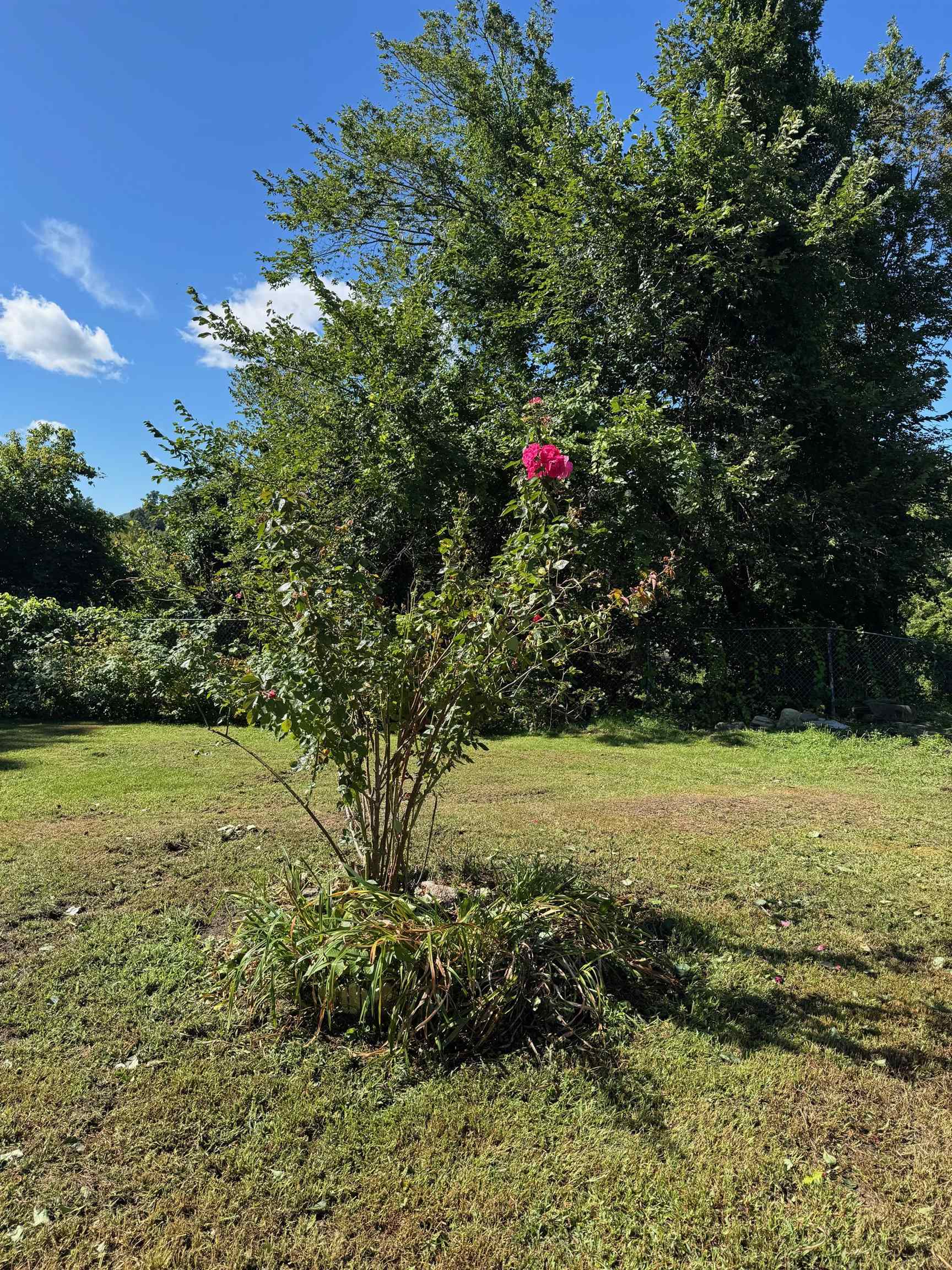 999 Main Street Walpole, NH 03609 - Photo 35 of 39