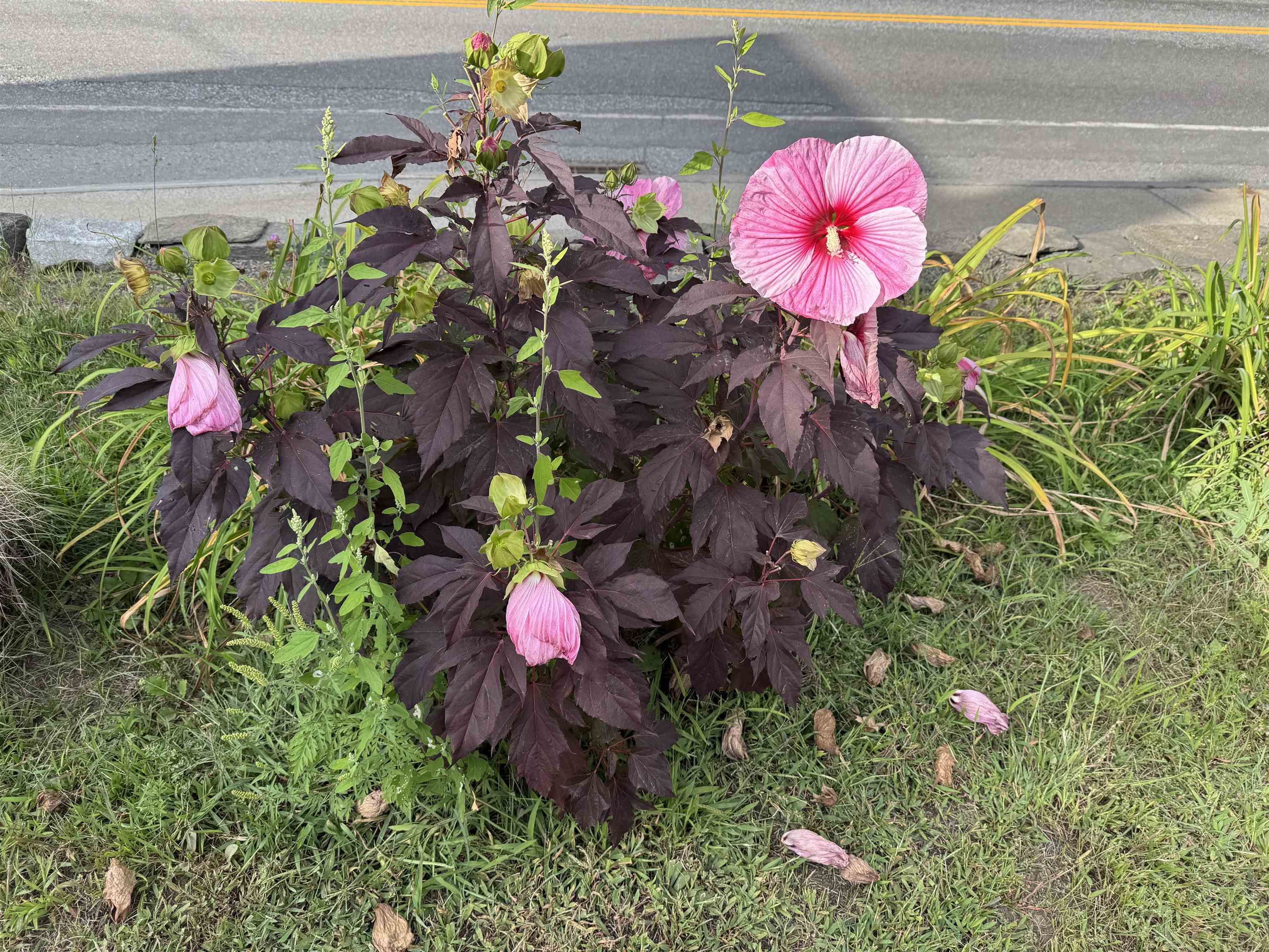 999 Main Street Walpole, NH 03609 - Photo 36 of 39