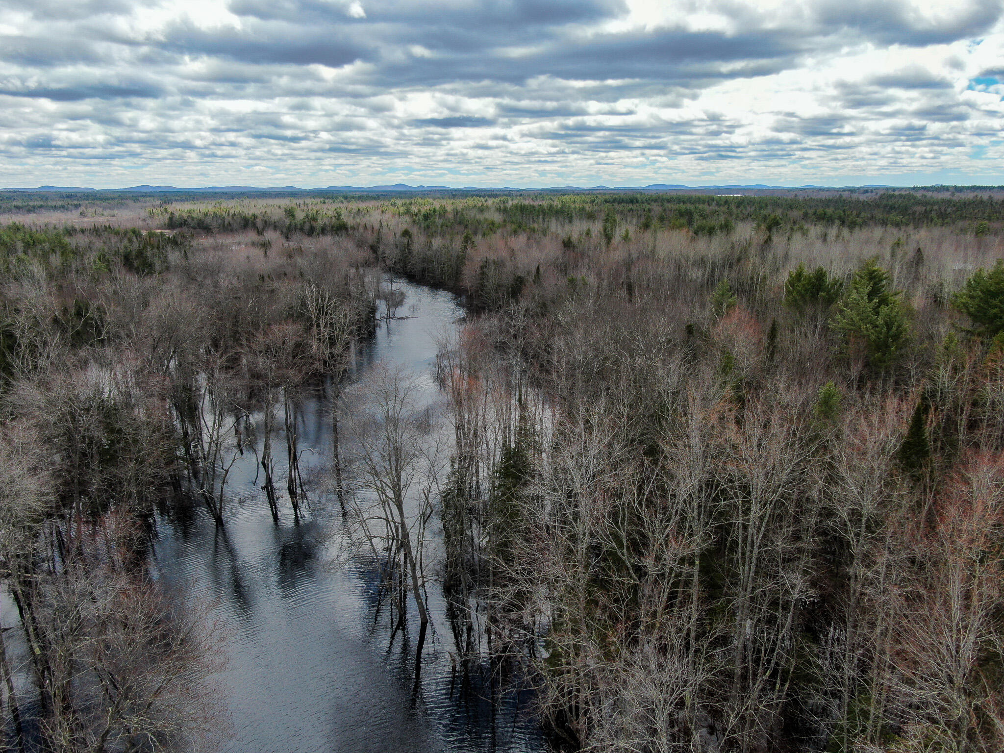 Lot 14-1 Pine Road Greenbush, ME 04418 - Photo 5 of 17 DJI_0347