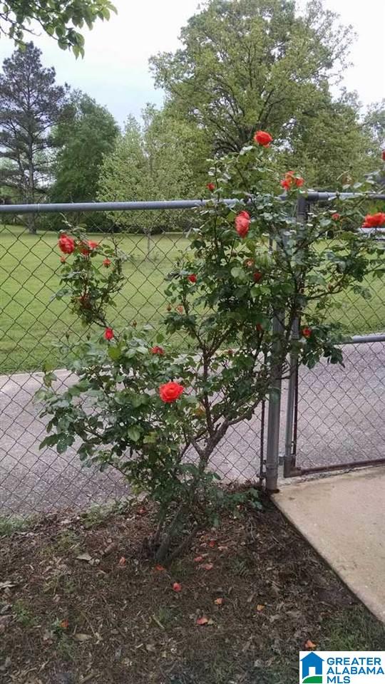 411 Collum Street Jemison, AL 35085 - Photo 17 of 41