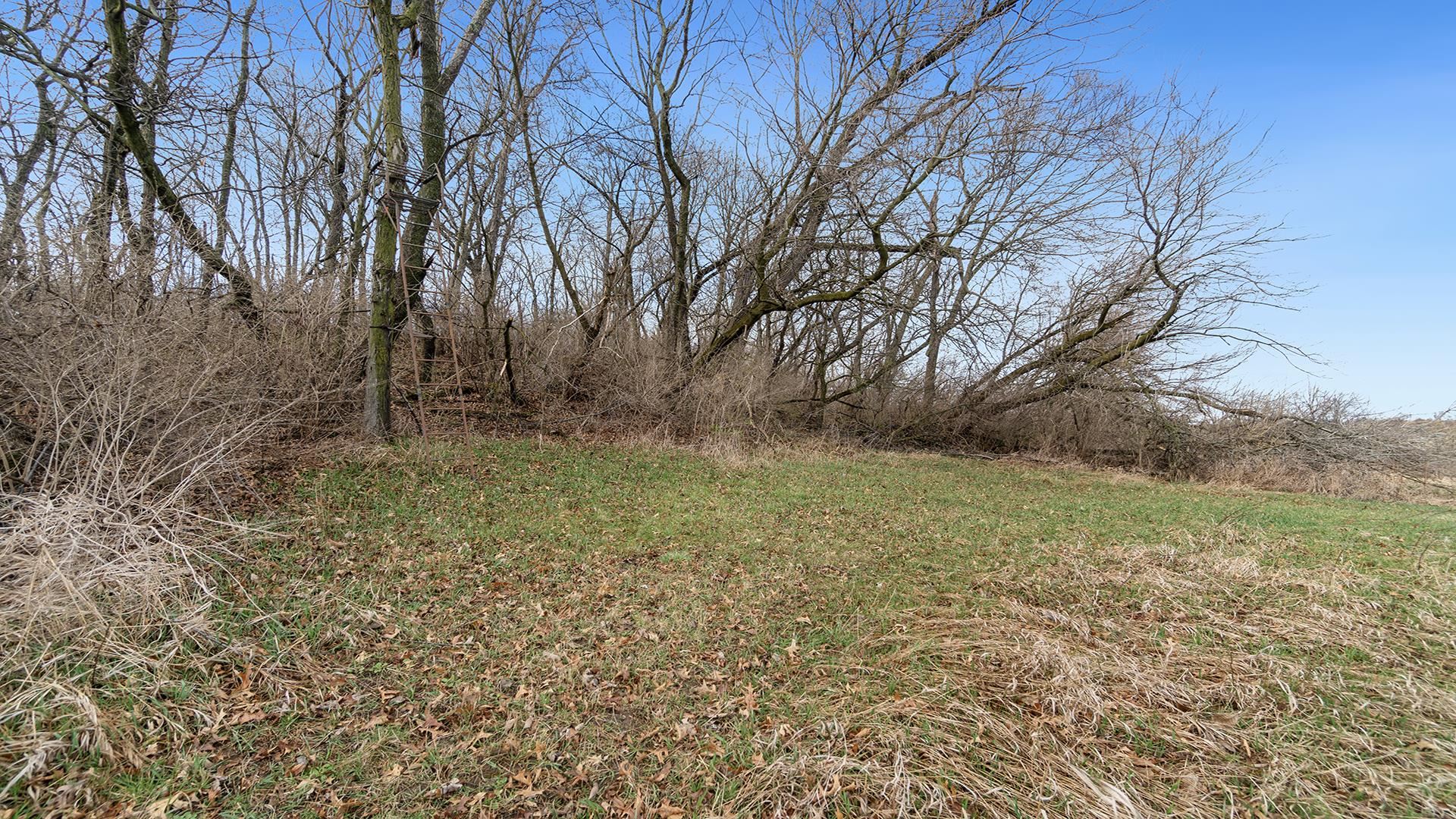 4695 South Massbach Road Stockton, IL 61085 - Photo 50 of 58 Gallery Image 50