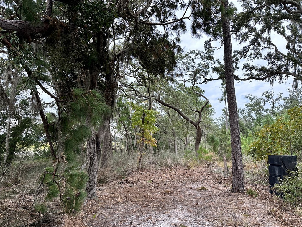 214 Seabrook Road, Unit A Seabrook, SC 29940 - Photo 11 of 17