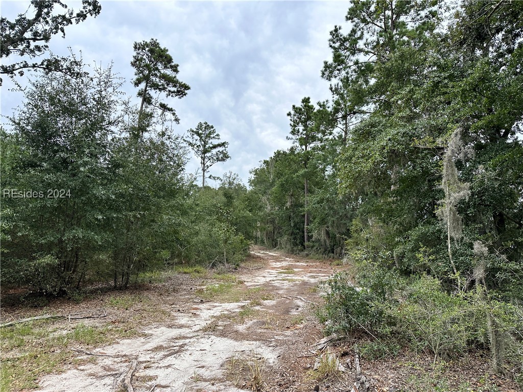 214 Seabrook Road, Unit A Seabrook, SC 29940 - Photo 12 of 17