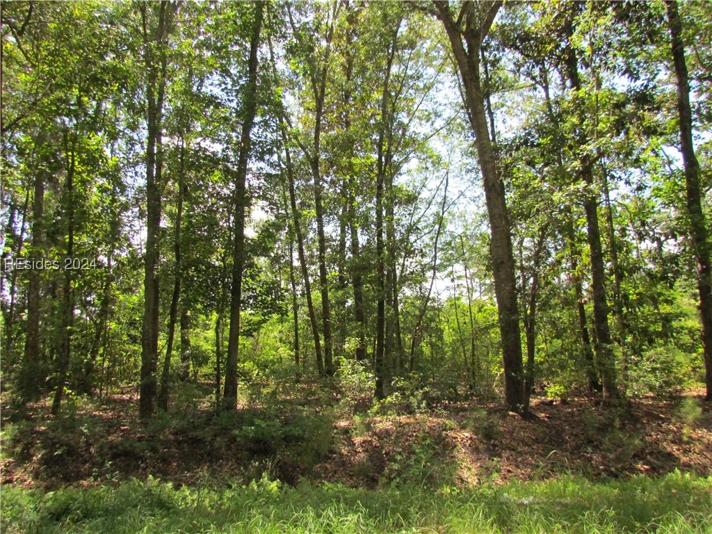 214 Seabrook Road, Unit A Seabrook, SC 29940 - Photo 13 of 17