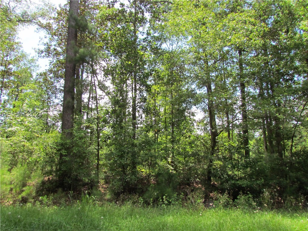 214 Seabrook Road, Unit A Seabrook, SC 29940 - Photo 14 of 17