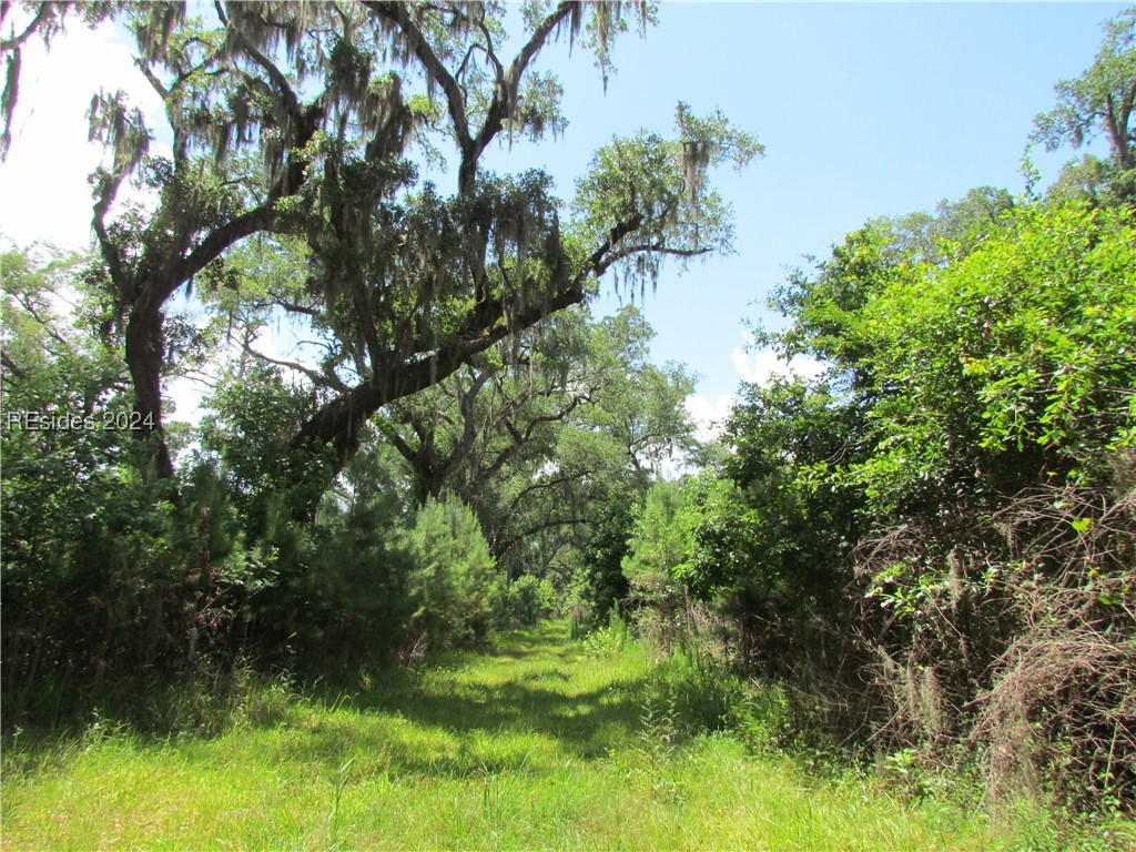 214 Seabrook Road, Unit A Seabrook, SC 29940 - Photo 16 of 17