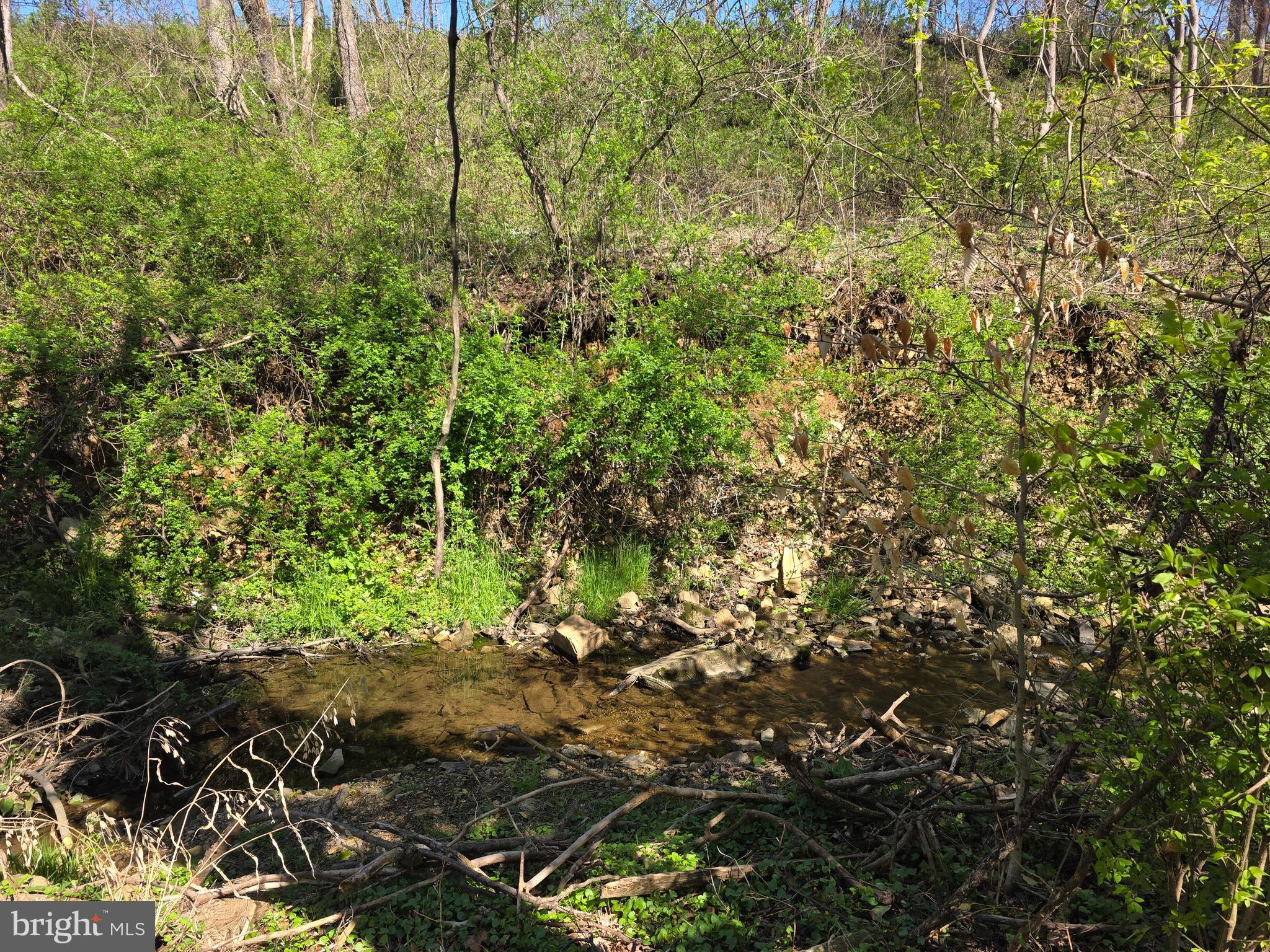 9906 Belair Road Perry Hall, MD 21128 - Photo 42 of 64