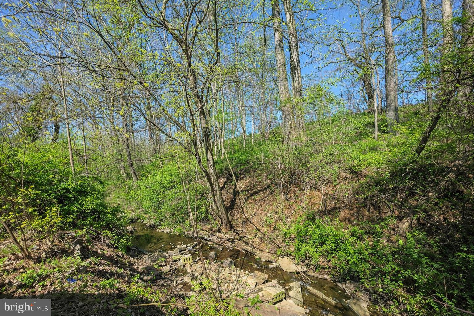 9906 Belair Road Perry Hall, MD 21128 - Photo 43 of 64