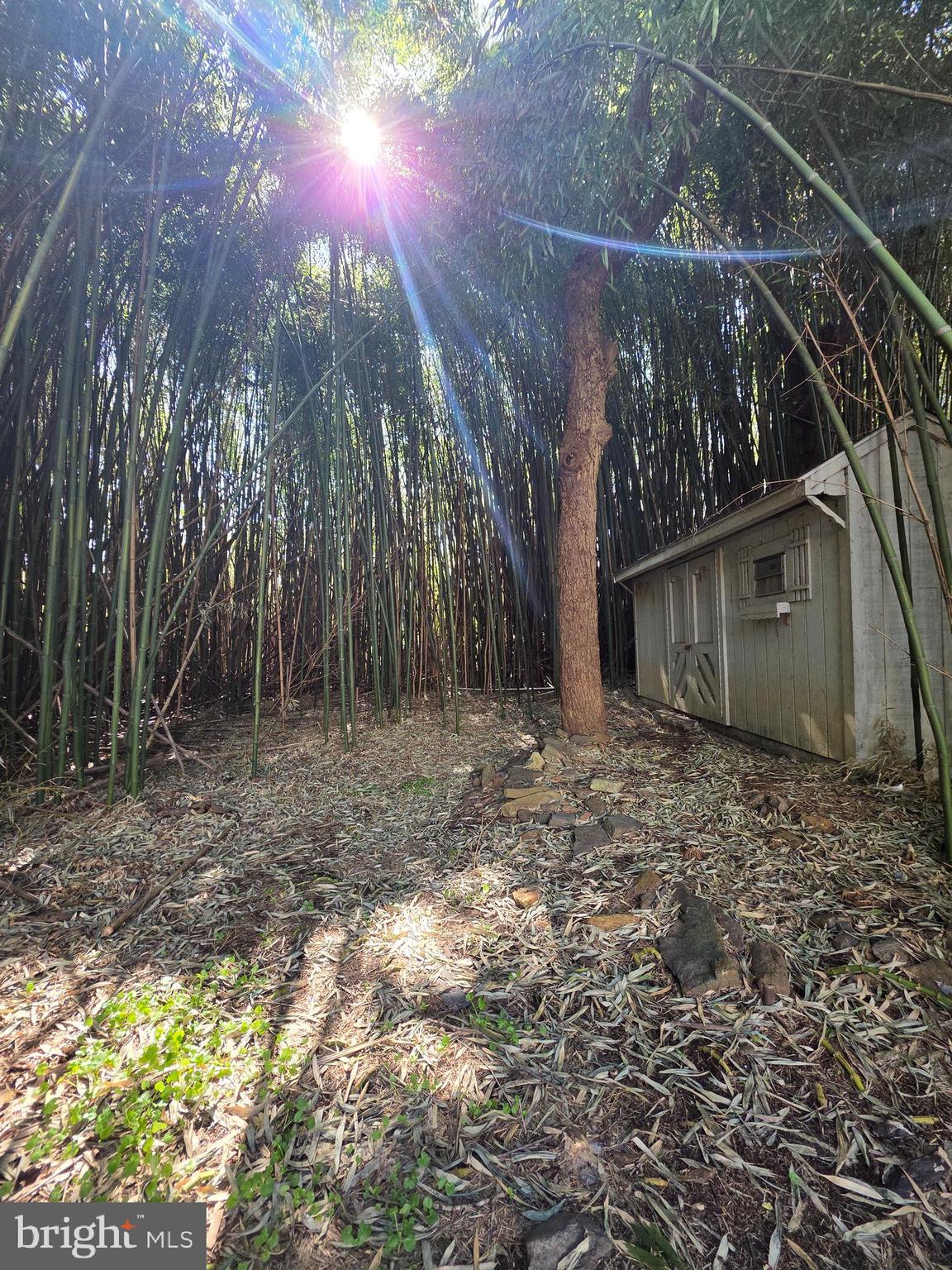 9906 Belair Road Perry Hall, MD 21128 - Photo 64 of 64