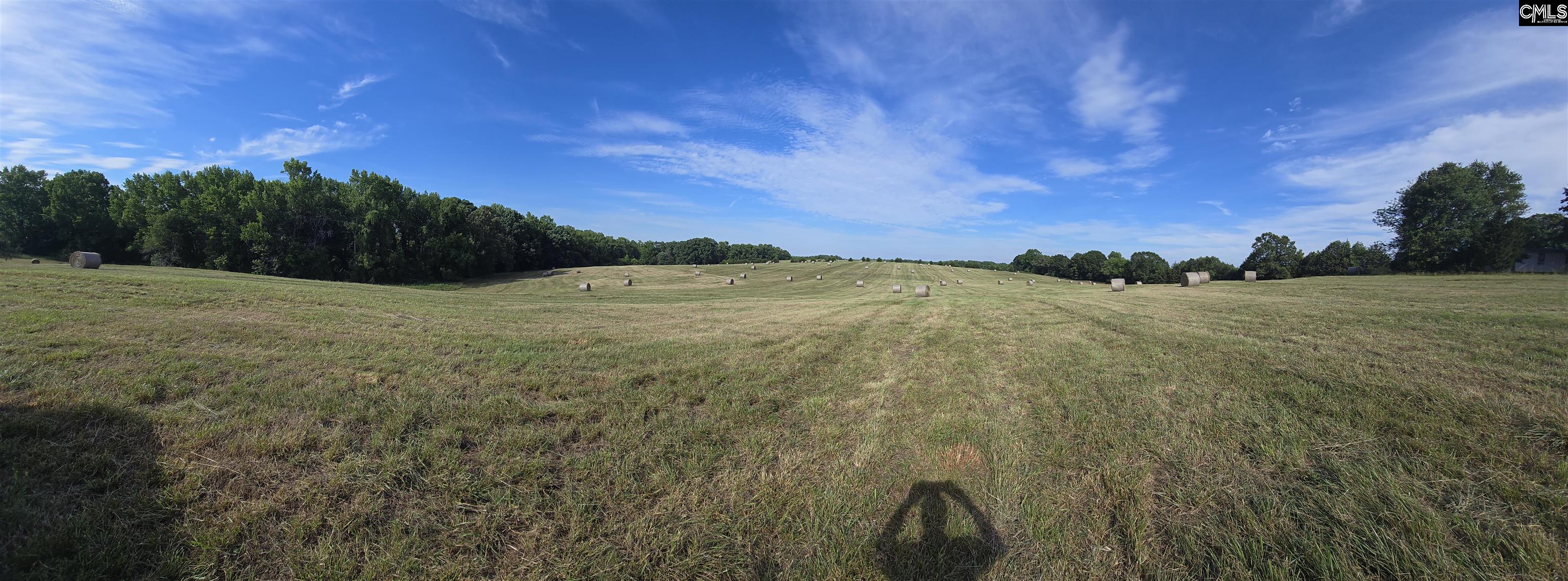542 Pea Ridge Highway Jonesville, SC 29353 - Photo 60 of 72