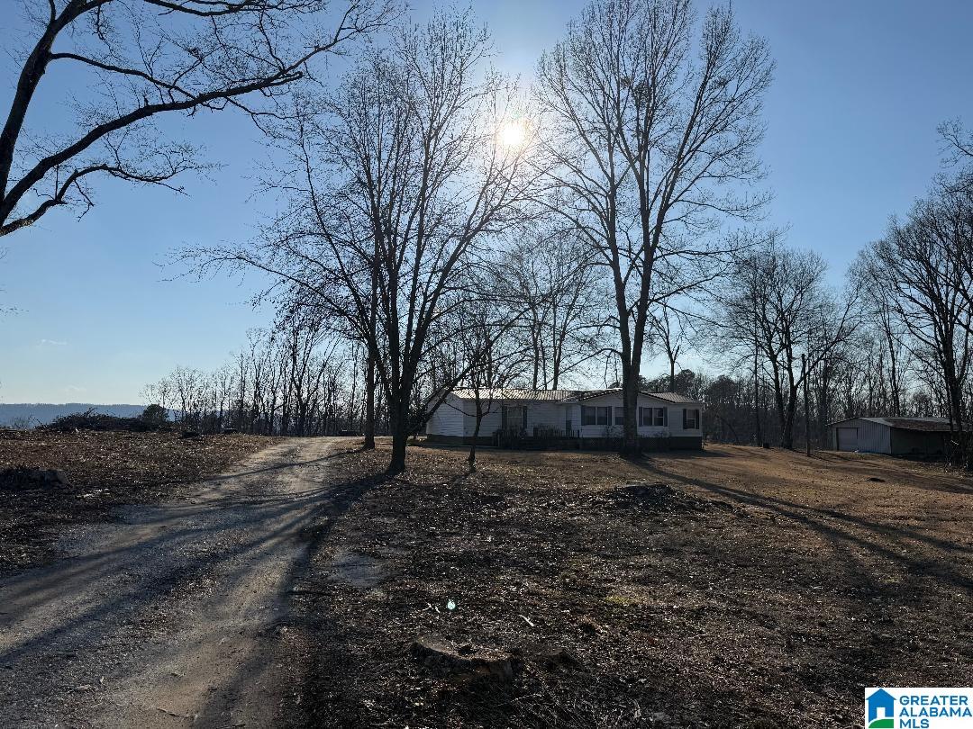 500 Haynes Road Altoona, AL 35952 - Photo 25 of 50