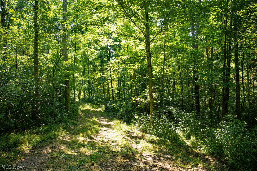 27339 Tabor Ridge Road Caldwell, OH 43724 - Photo 33 of 50