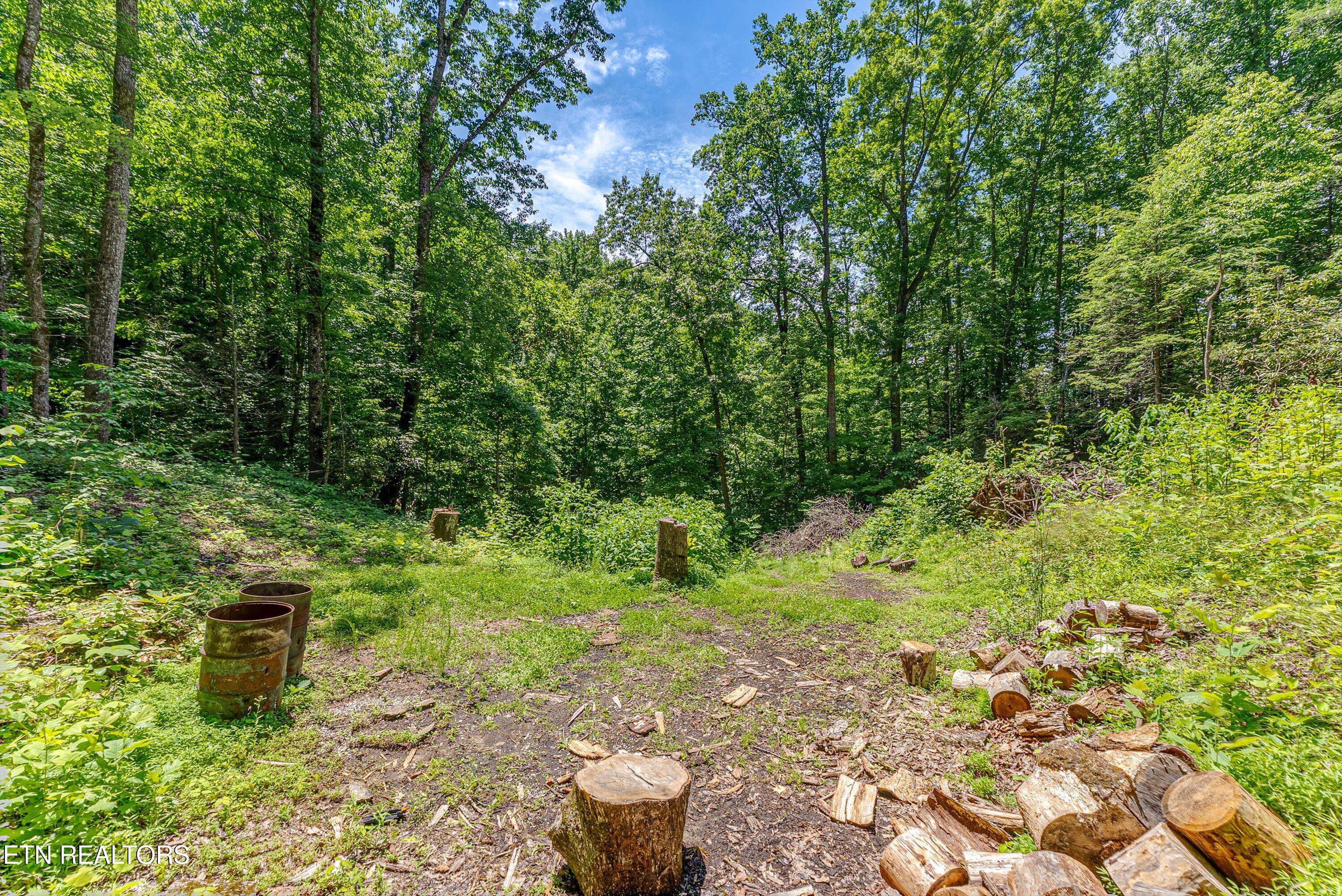 229 Sonshine Ridge Road Cosby, TN 37722 - Photo 17 of 22 30-Clearing A4