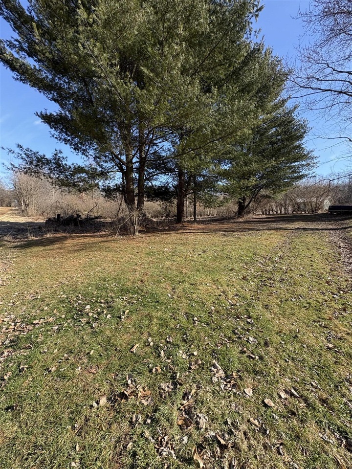 54277 Day Road Marcellus, MI 49067 - Photo 6 of 9