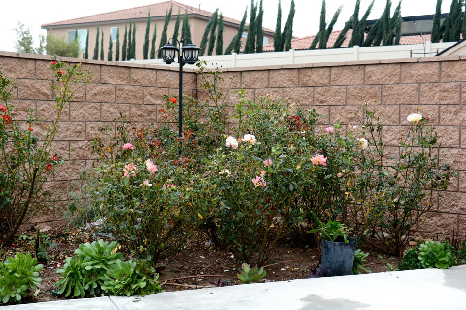 7283 Dimaggio Street Riverside, CA 92503 - Photo 53 of 58