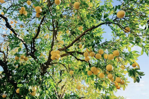 $2,098,000 | 1245 East Howard Street, Pasadena, CA 91104