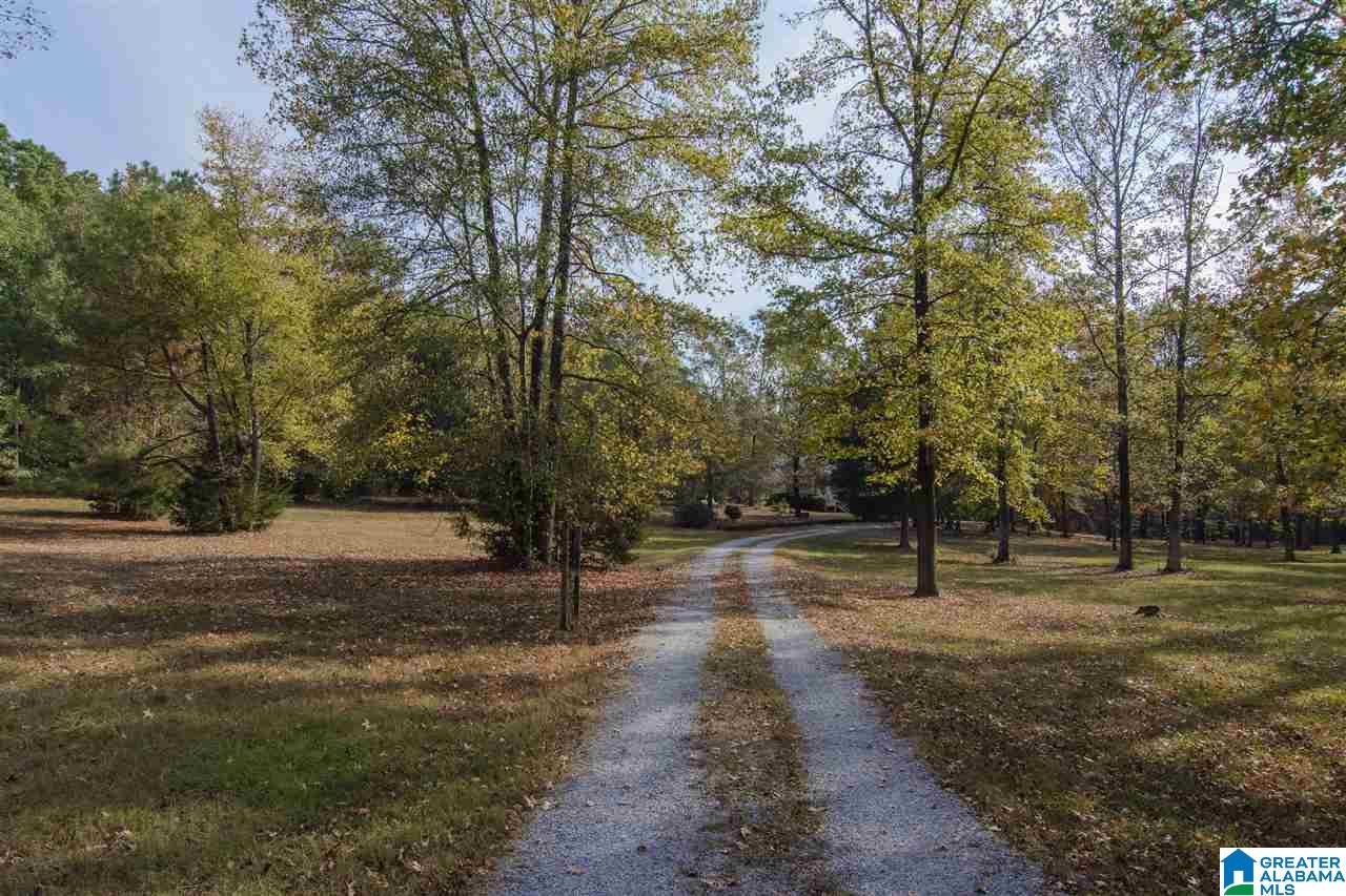 2360 Salem Road Montevallo, AL 35115 - Photo 40 of 40