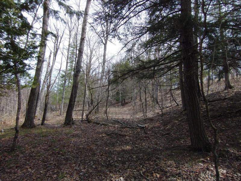 50-acres Sugar River Road Gladwin, MI 48624 - Photo 16 of 29