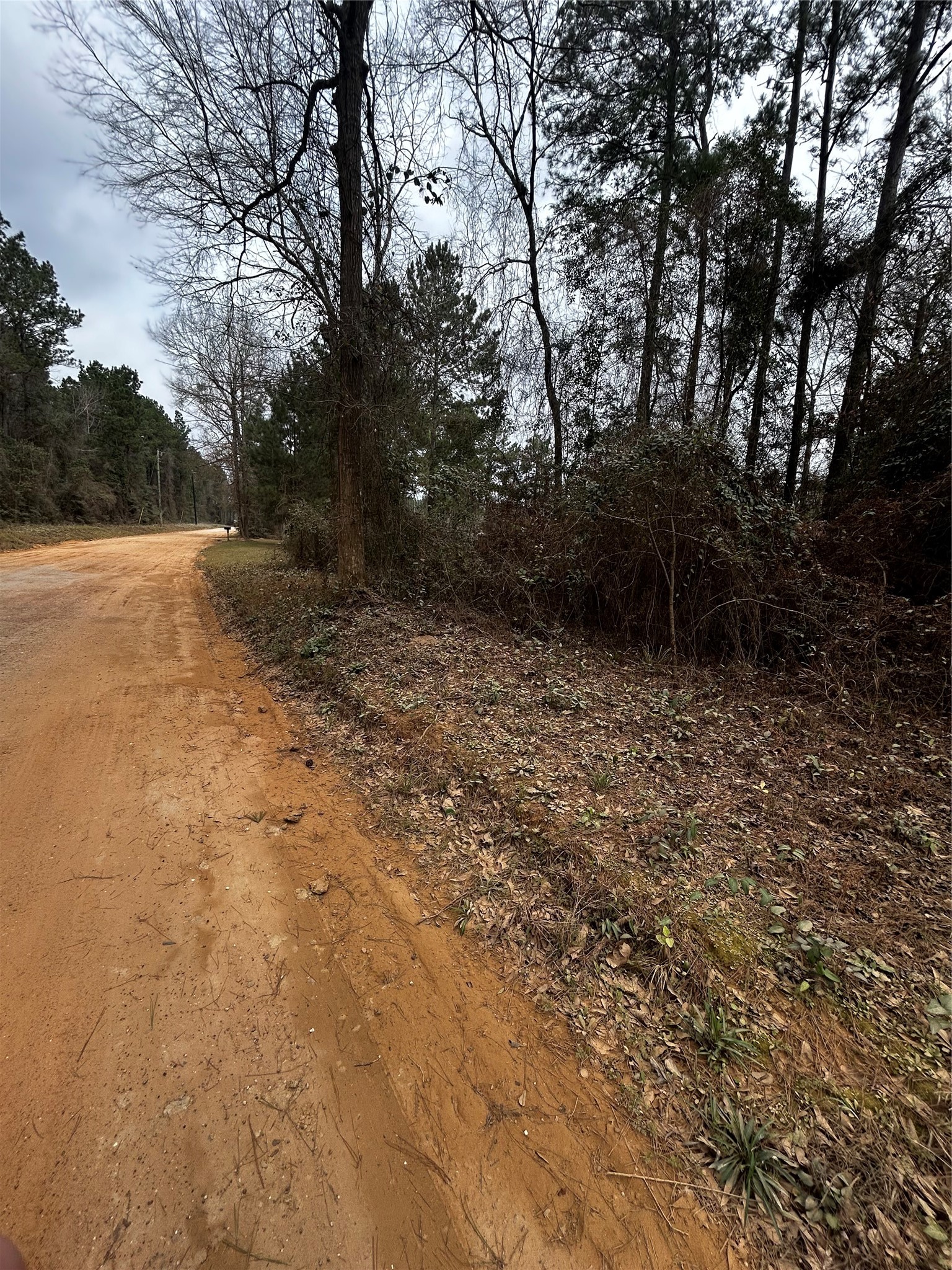 0 County Line Road Shepherd, TX 77371 - Photo 4 of 15