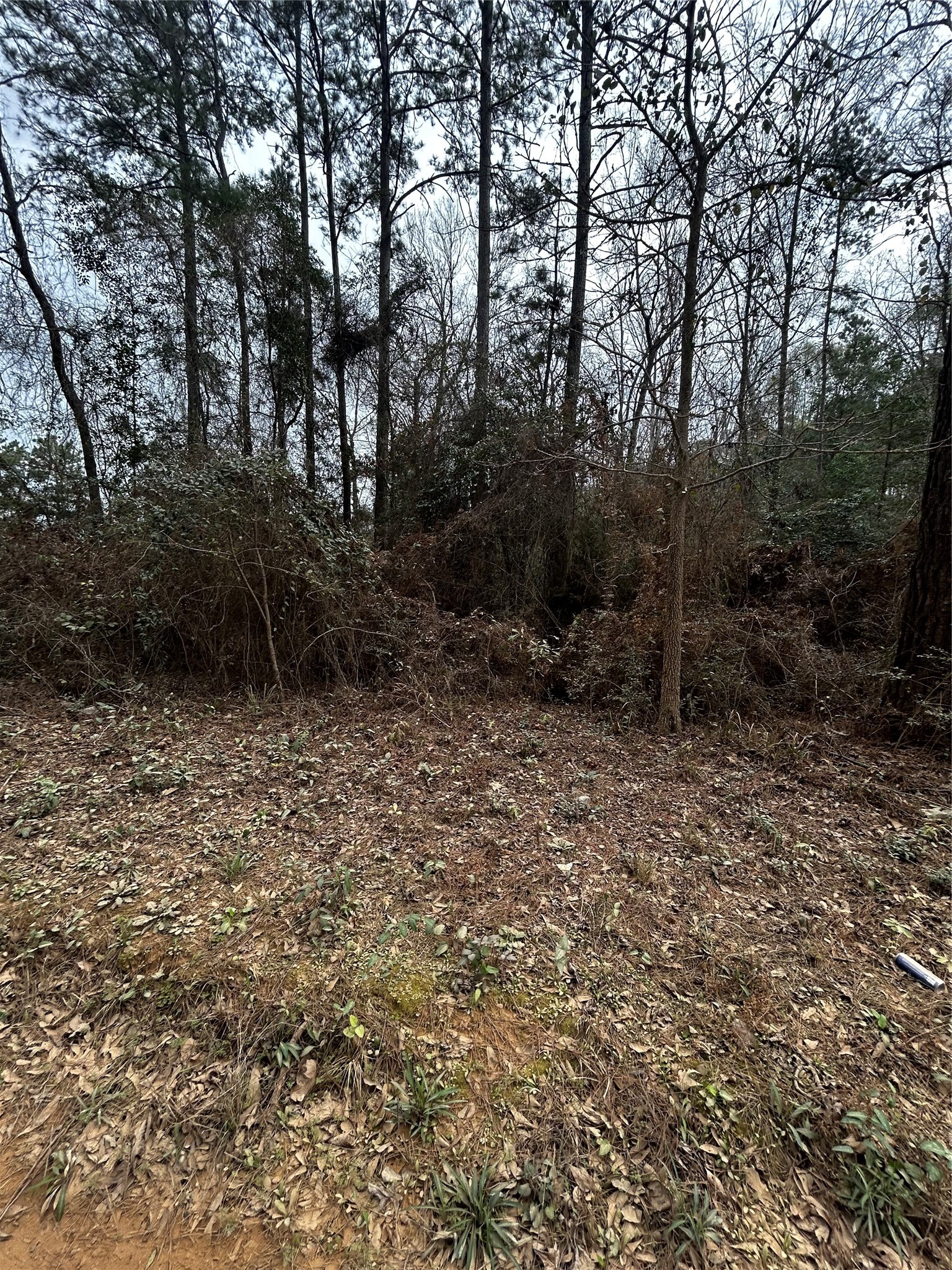 0 County Line Road Shepherd, TX 77371 - Photo 5 of 15