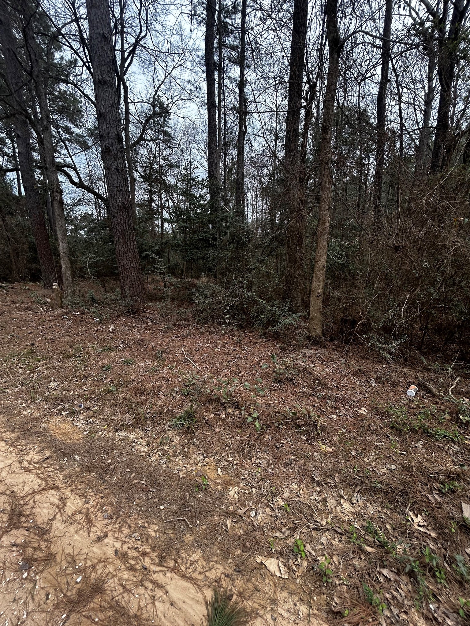 0 County Line Road Shepherd, TX 77371 - Photo 10 of 15