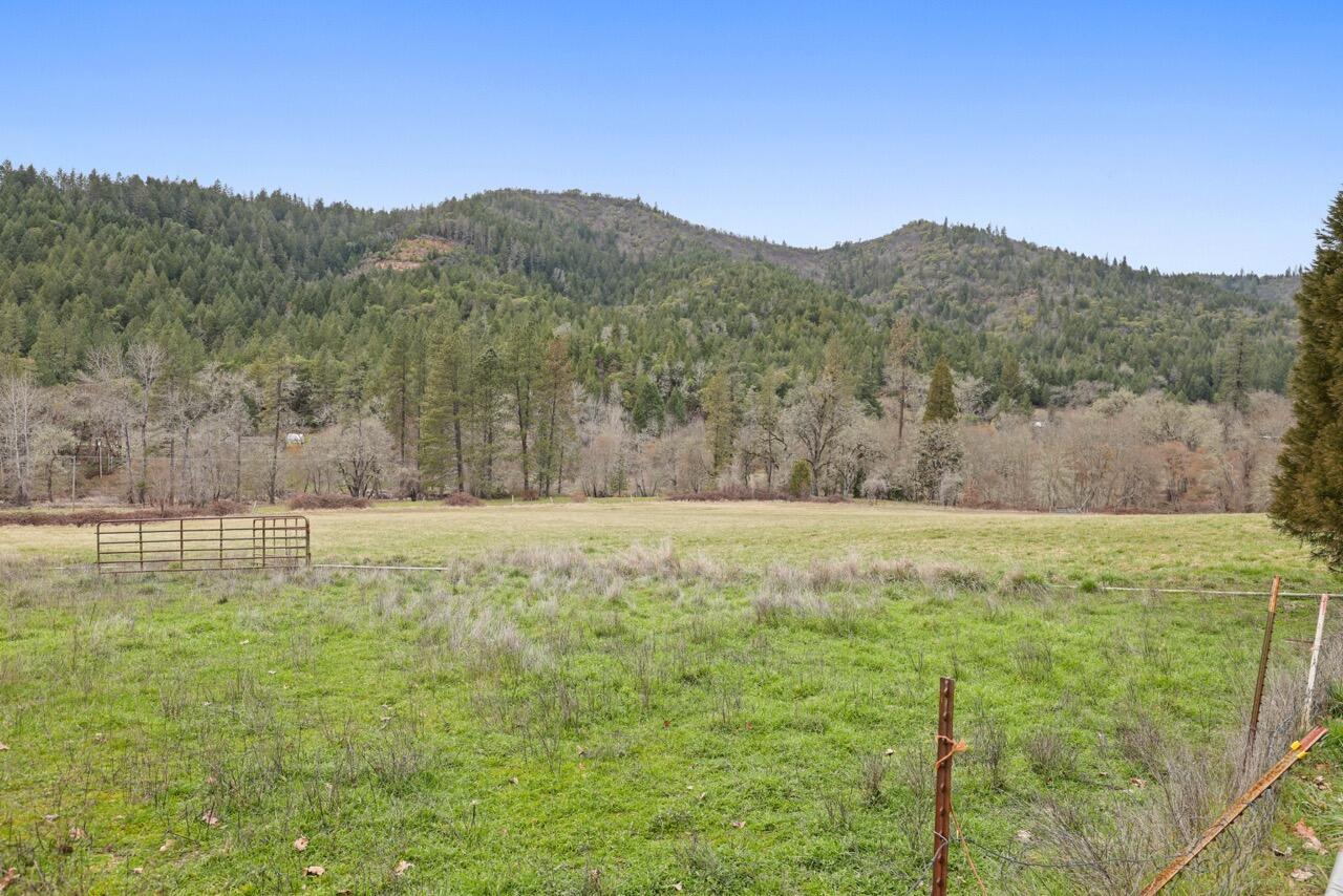 431 Murphy Gulch Road Rogue River, OR 97537 - Photo 25 of 35 EP1A7915 Large