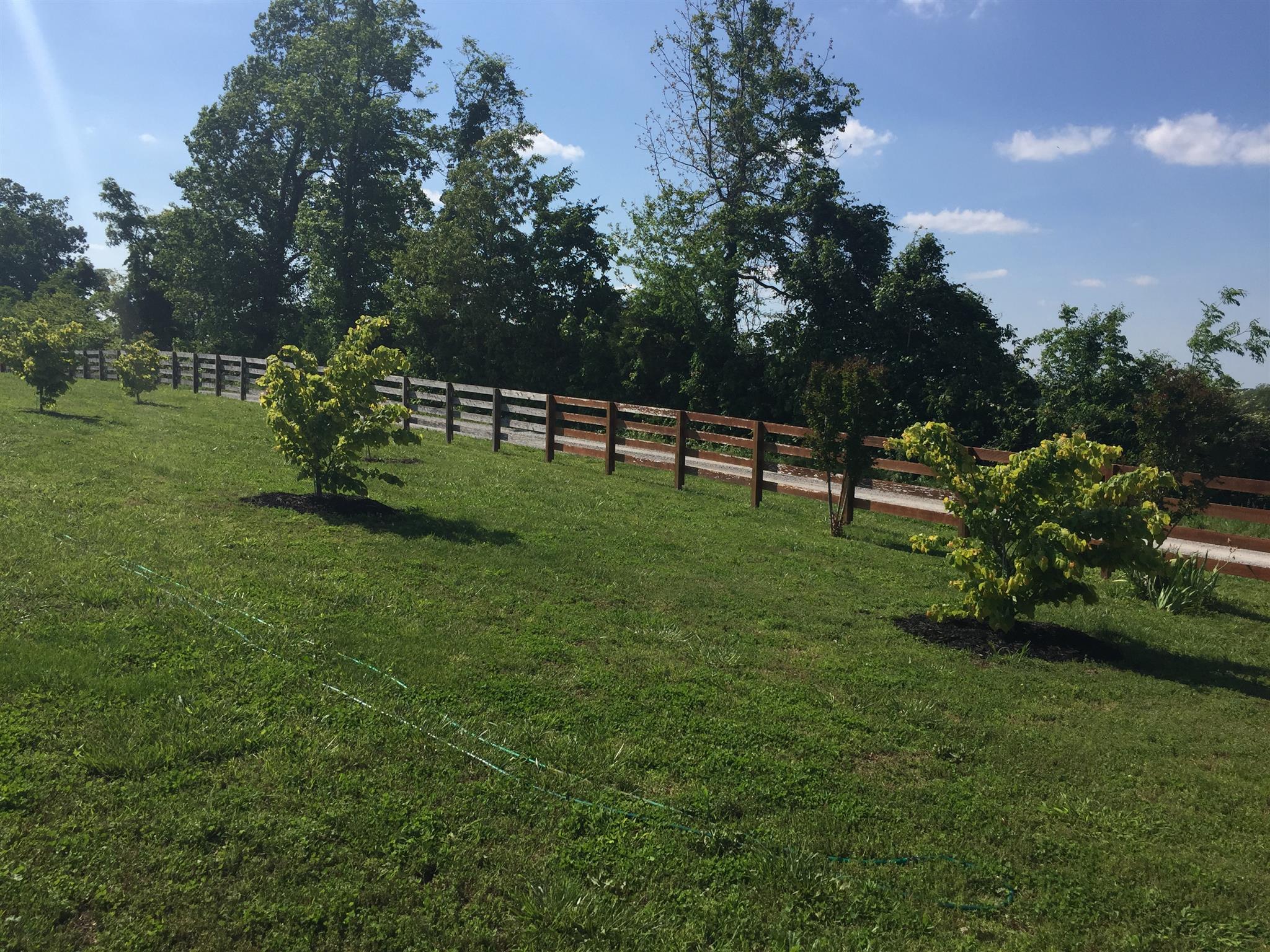 370 Murray Road Belvidere, TN 37306 - Photo 6 of 9 Gallery Image 6