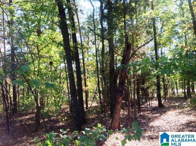0 Whispering Pines Road, Unit 1 AMD 2 Oxford, AL 36203 - Photo 6 of 30