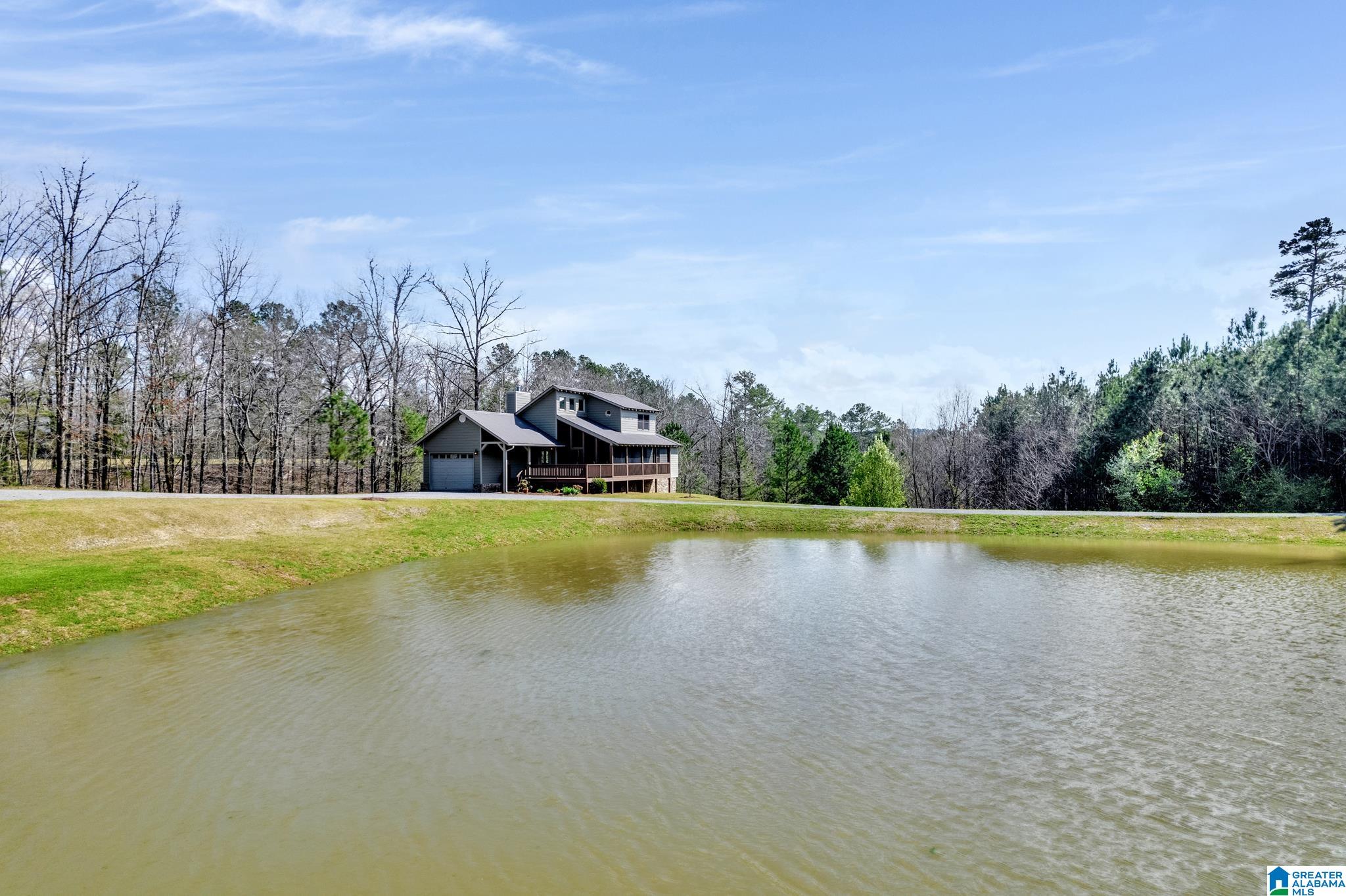 175 Skyview Trail Trafford, AL 35172 - Photo 47 of 50