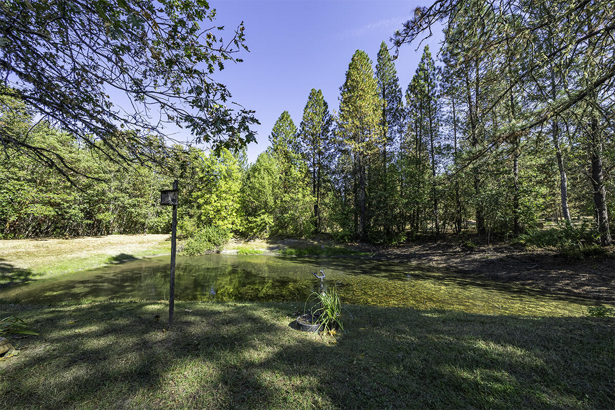 255 Davidson Road Williams, OR 97544 - Photo 39 of 82 Pond
