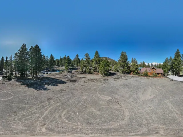 a view of a rural road with plants