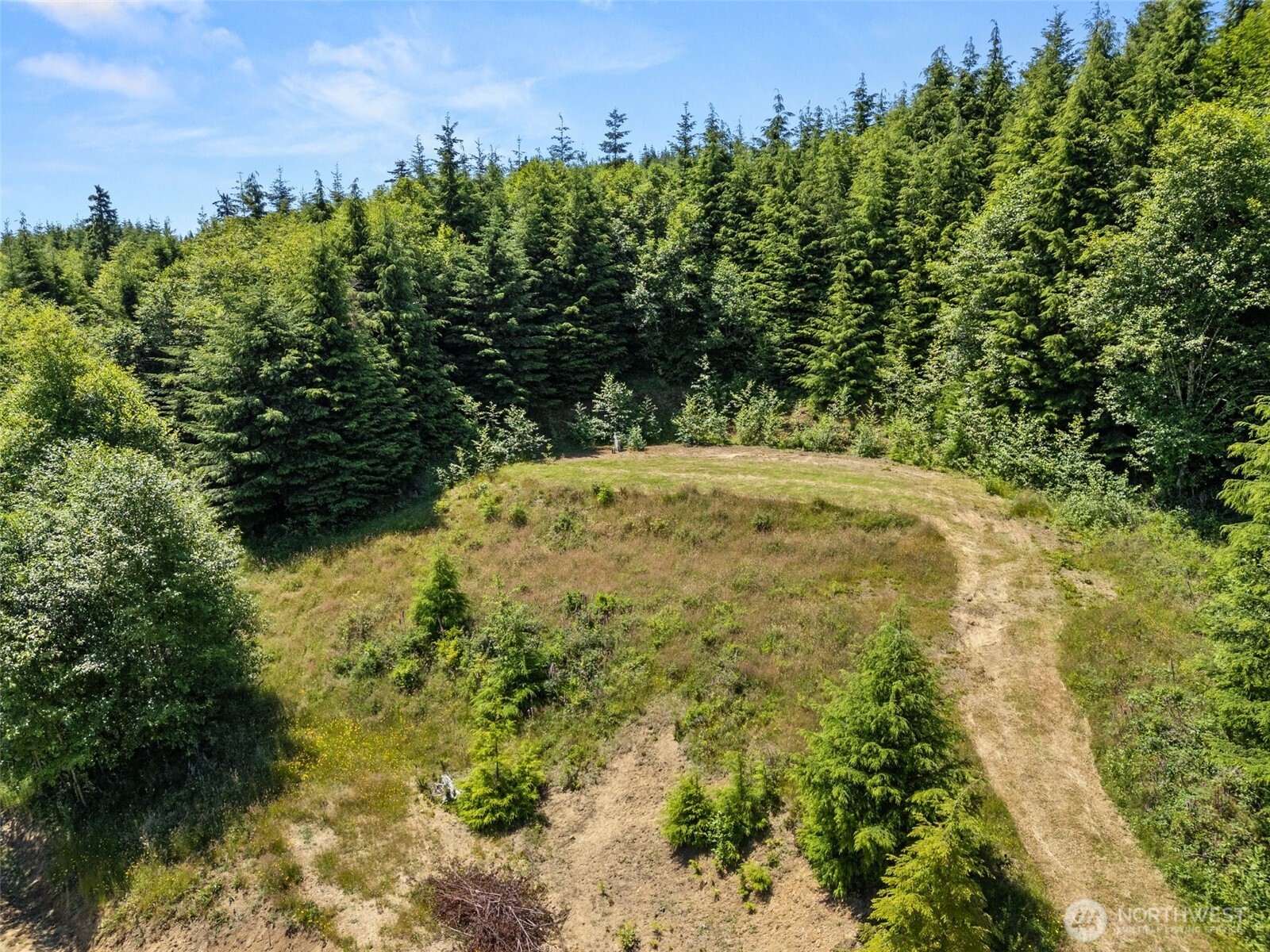 341 Parpala Road Naselle, WA 98638 - Photo 11 of 22 a view of a yard with a tree