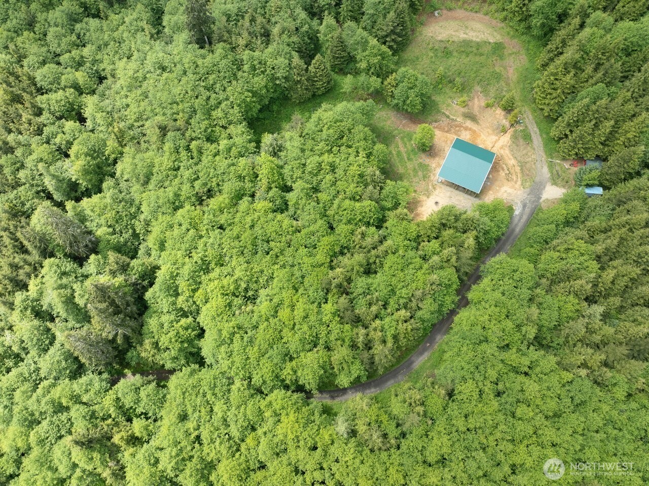 341 Parpala Road Naselle, WA 98638 - Photo 9 of 22 a view of a yard and trees