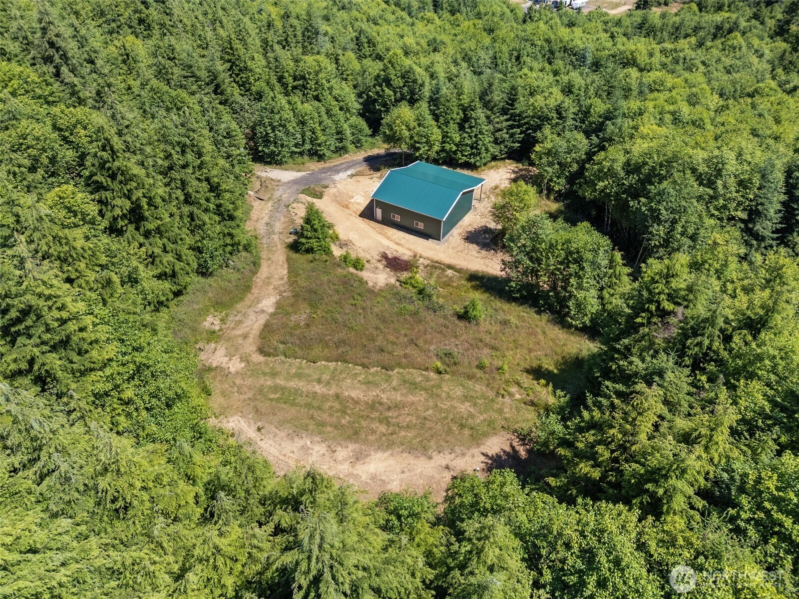 341 Parpala Road Naselle, WA 98638 - Photo 10 of 22 a view of a yard with plants and large trees
