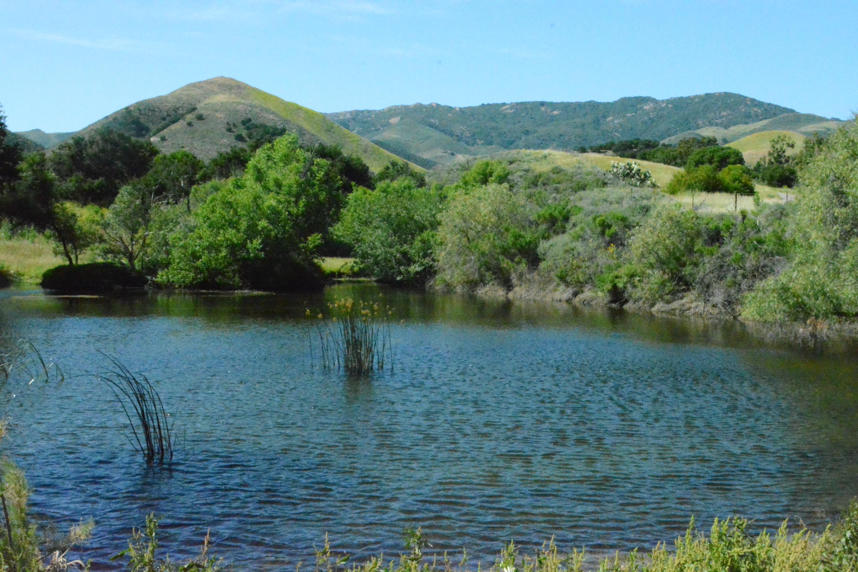 6 Hollister Ranch Road Lompoc, CA 93436 - Photo 36 of 39 DSC_0921