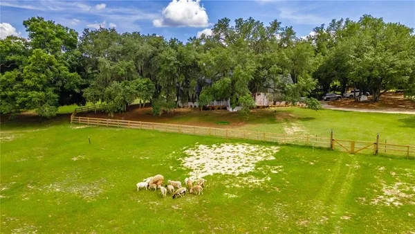 $1,150,000 | 23100 Southeast Highway 42, Umatilla, FL 32784