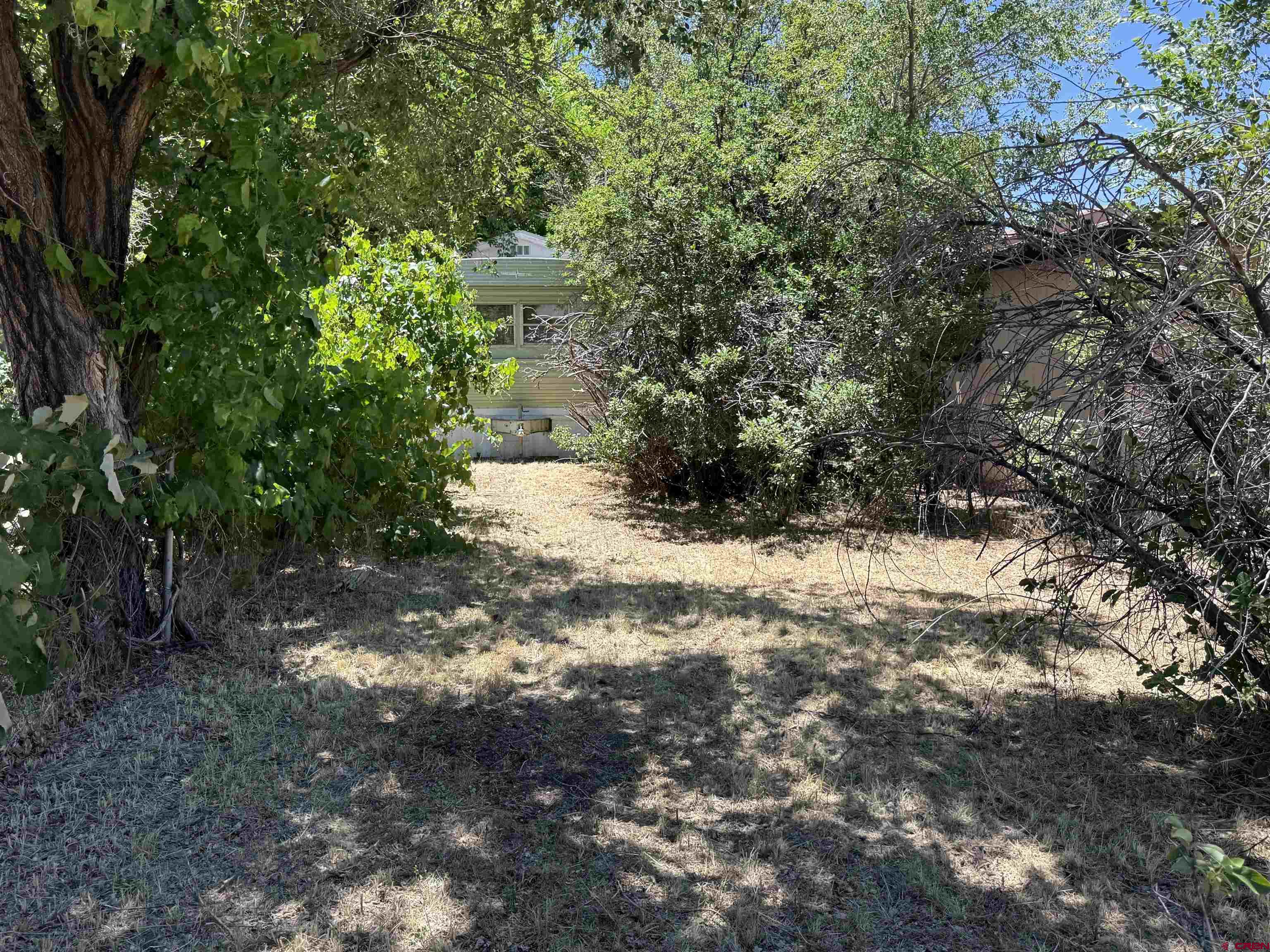 202 Riverside Avenue Dolores, CO 81323 - Photo 4 of 4 a view of a yard with plants and trees