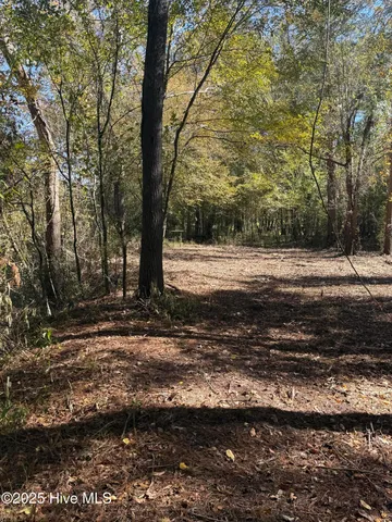 $88,000 | 1 East Marney Drive, Burgaw, NC 28425